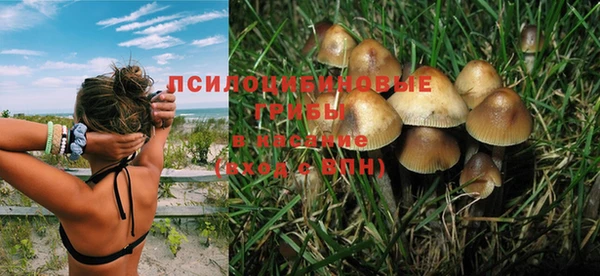 apvp Алзамай